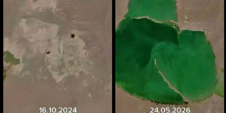 В пустыне Кызылкум после сильных дождей появилось озеро площадью 80 км²