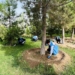 Экологические волонтеры организовали десятки акций по очистке территорий Душанбе