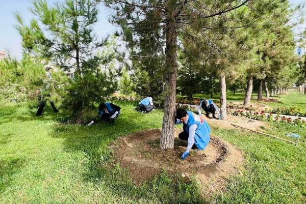 Экологические волонтеры организовали десятки акций по очистк