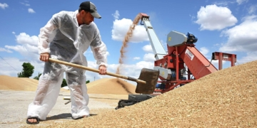 Таджикистан за шесть месяцев экспортировал сельхозпродукцию на $39,9 млн