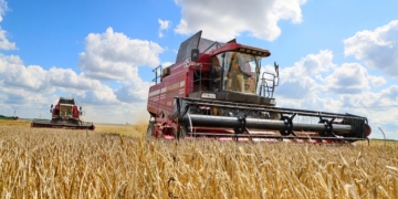 Район Сино собрал более 5 тыс. тонн сельхозпродукции за первое полугодие 2026 года