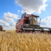Район Сино собрал более 5 тыс. тонн сельхозпродукции за первое полугодие 2026 года