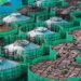 Государственные предприятия центрального подчинения Китая сообщили о росте инвестиций в НИОКР на 3,8 проц. в первом полугодии 2026 года