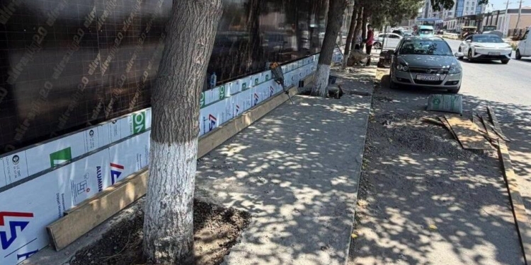 В Худжанде демонтировали бетонные покрытия вокруг деревьев после публикаций в соцсетях