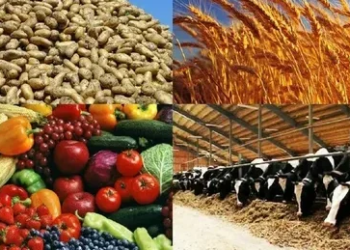 В Хатлоне производство сельхозпродукции выросло до 17,8 млрд сомони