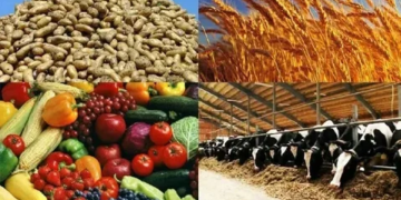 В Хатлоне производство сельхозпродукции выросло до 17,8 млрд сомони
