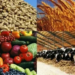 В Хатлоне производство сельхозпродукции выросло до 17,8 млрд сомони