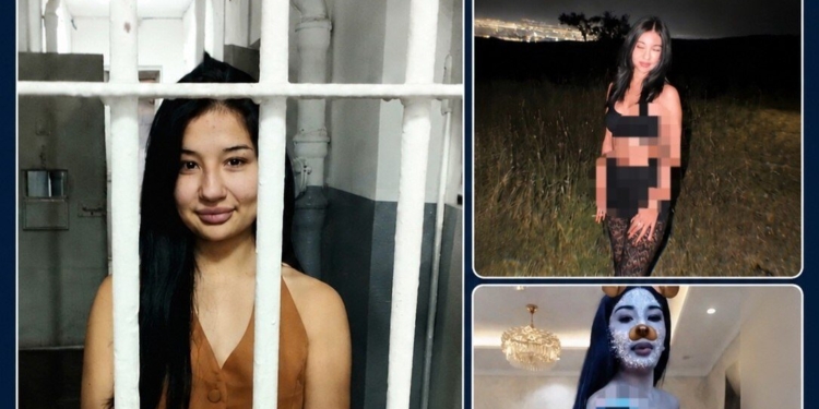 В Душанбе 18-летнюю девушку арестовали на пять суток за непристойные публикации