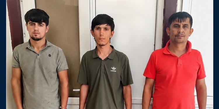 В Душанбе троих молодых людей подозревают в действиях сексуального характера в отношении пятиклассницы