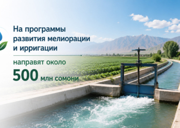 На программы развития мелиорации и ирригации в Таджикистане направят около 500 млн сомони