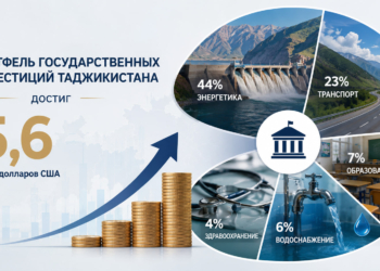 Портфель государственных инвестиций Таджикистана достиг 5,6 млрд долларов