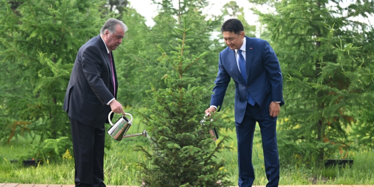 Президенты Таджикистана и Монголии посадили дерево в знак дружбы двух стран