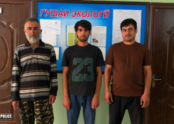 В Душанбе троих жителей привлекли к ответственности за сжигание мусора в неположенных местах