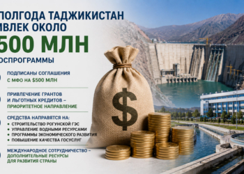 За полгода Таджикистан привлек около $500 млн на госпрограммы