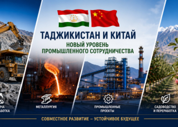 Таджикистан и Китай выводят промышленное сотрудничество на новый уровень