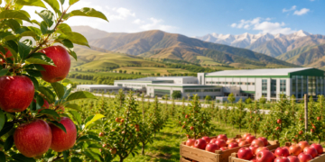 Китайские инвестиции в сады будущего: Shaanxi Apple Group готова развивать яблоневодство и переработку в Таджикистане