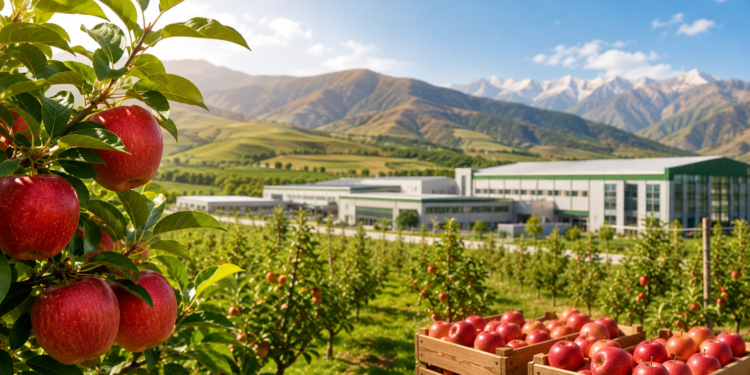 Китайские инвестиции в сады будущего: Shaanxi Apple Group готова развивать яблоневодство и переработку в Таджикистане