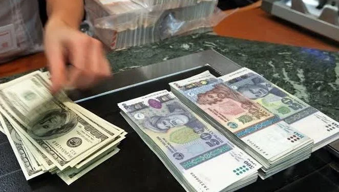 МВД Таджикистана сообщило о двух случаях мошенничества с ущербом в десятки тысяч долларов и сомони