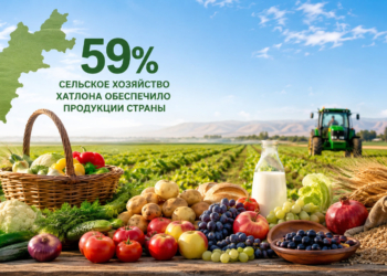 Сельское хозяйство Хатлона обеспечило 59% продукции страны