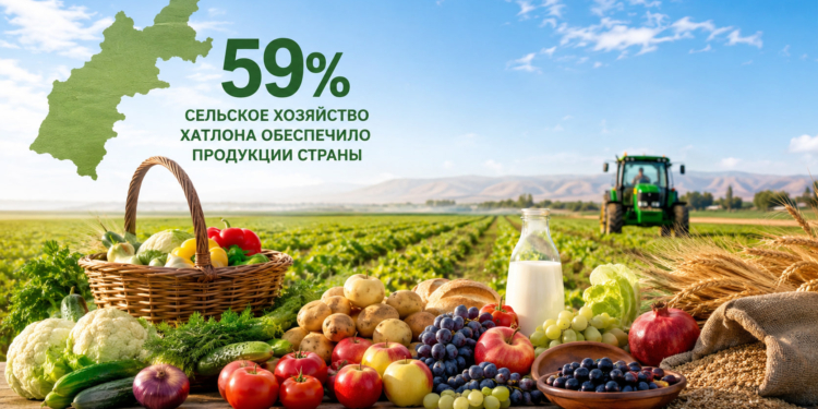 Сельское хозяйство Хатлона обеспечило 59% продукции страны