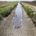 ООН: запасы пресной воды в мире сокращаются