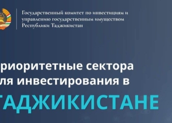 Таджикистан открывает цифровую экономику для иностранных инвесторов