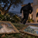 Во Франции арестовали подозреваемых в краже картин Ренуара на €9 млн