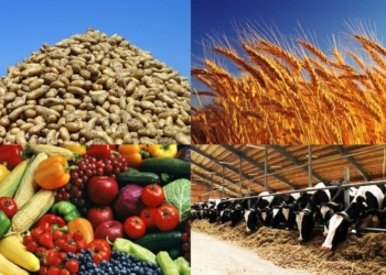 Хатлонская область производит более половины сельхозпродукции Таджикистана