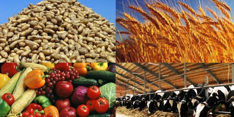 Хатлонская область производит более половины сельхозпродукции Таджикистана