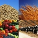 Хатлонская область производит более половины сельхозпродукции Таджикистана